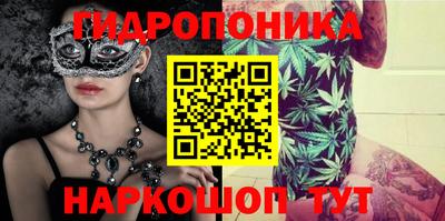 a pvp Владимир