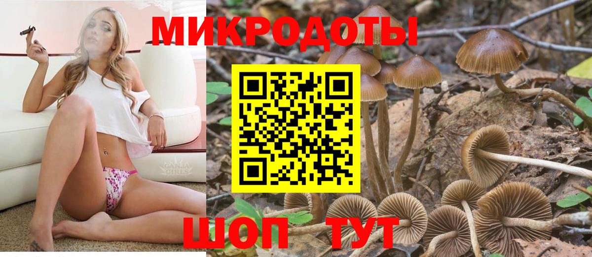 Новошахтинск  Галлюциногенные грибы Cubensis  Галлюциногенные грибы Magic Shrooms  Вход с VPN 
